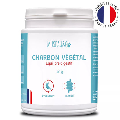 Charbon Végétal
