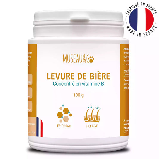 Levure de Bière