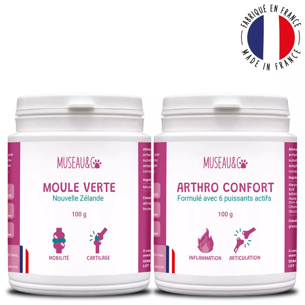 Pack bonds d'artiste