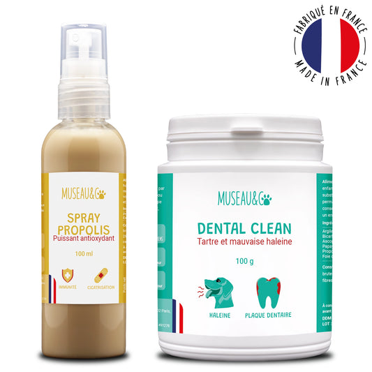 pack smile d'enfer