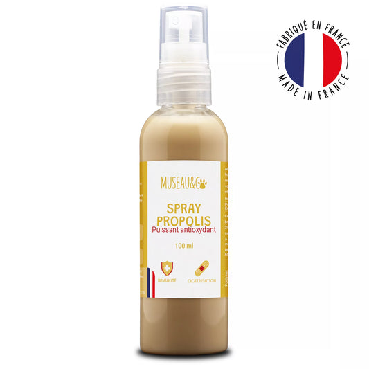 Spray Propolis