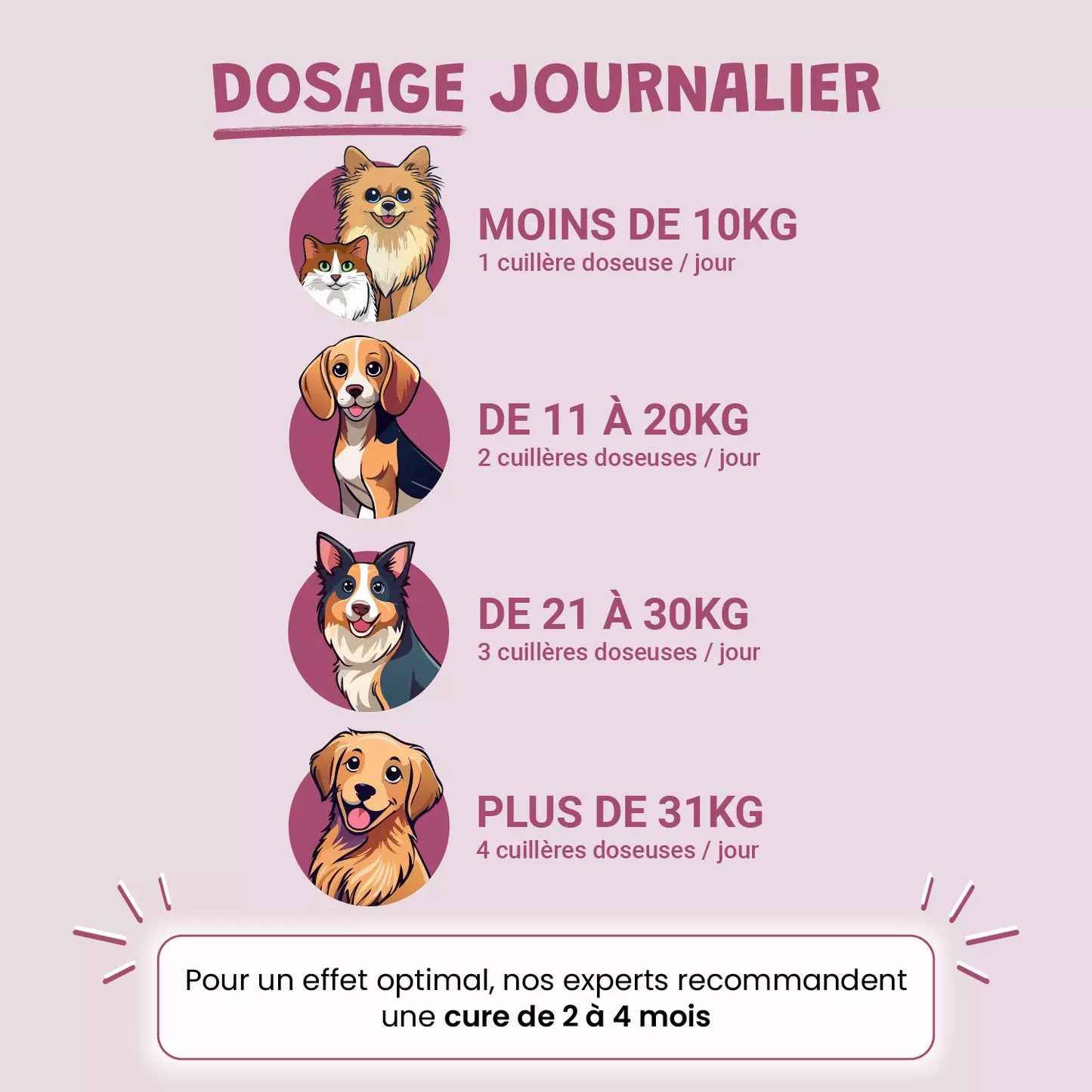 Pack bonds d'artiste
