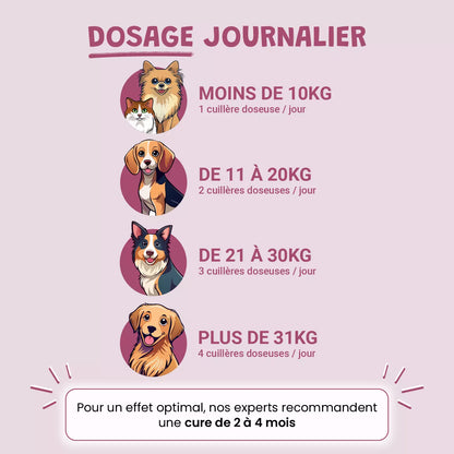 Pack bonds d'artiste