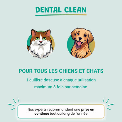 pack smile d'enfer