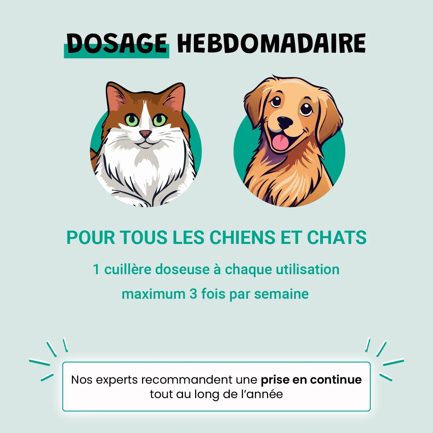 Dental Clean