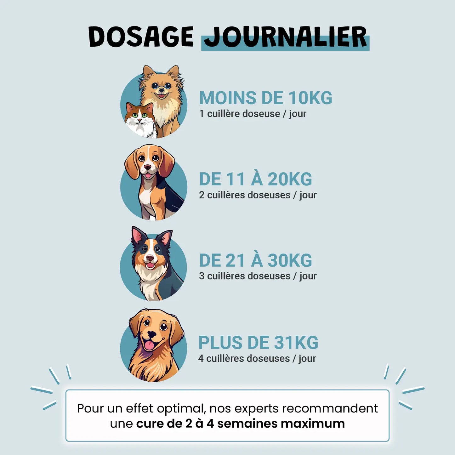 Charbon Végétal