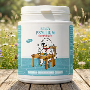Psyllium