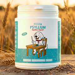 Psyllium