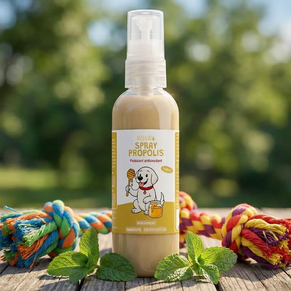 Complement Spray Compléments alimentaires pour la santé du chien et du chat – Museau & Co