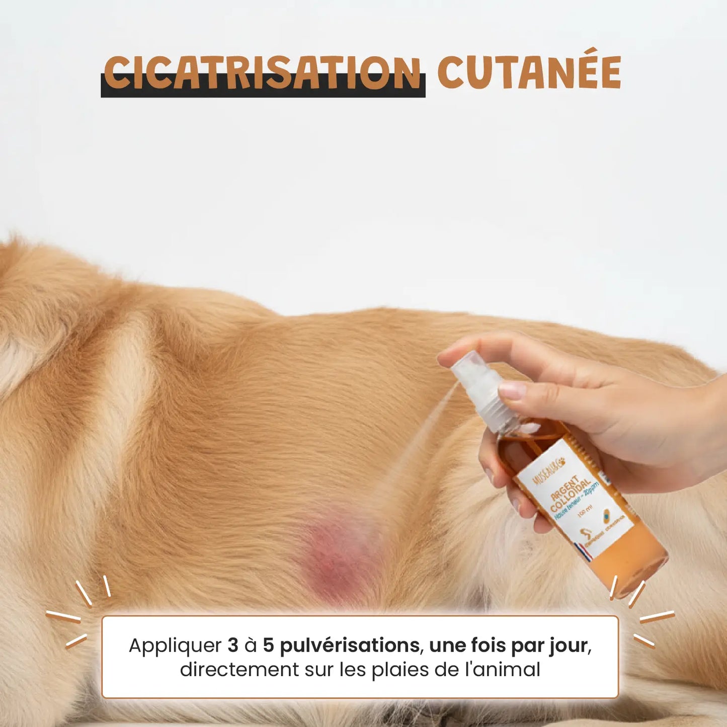 Argent Colloïdal 20ppm