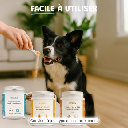 pack découverte