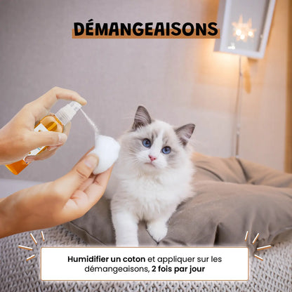Argent Colloïdal 20ppm