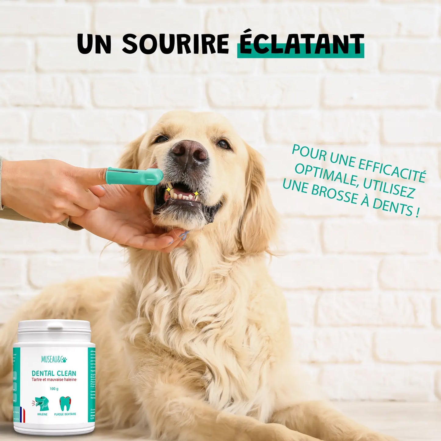 Dental Clean