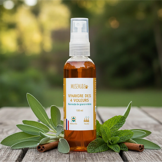 Vinaigre des 4 voleurs