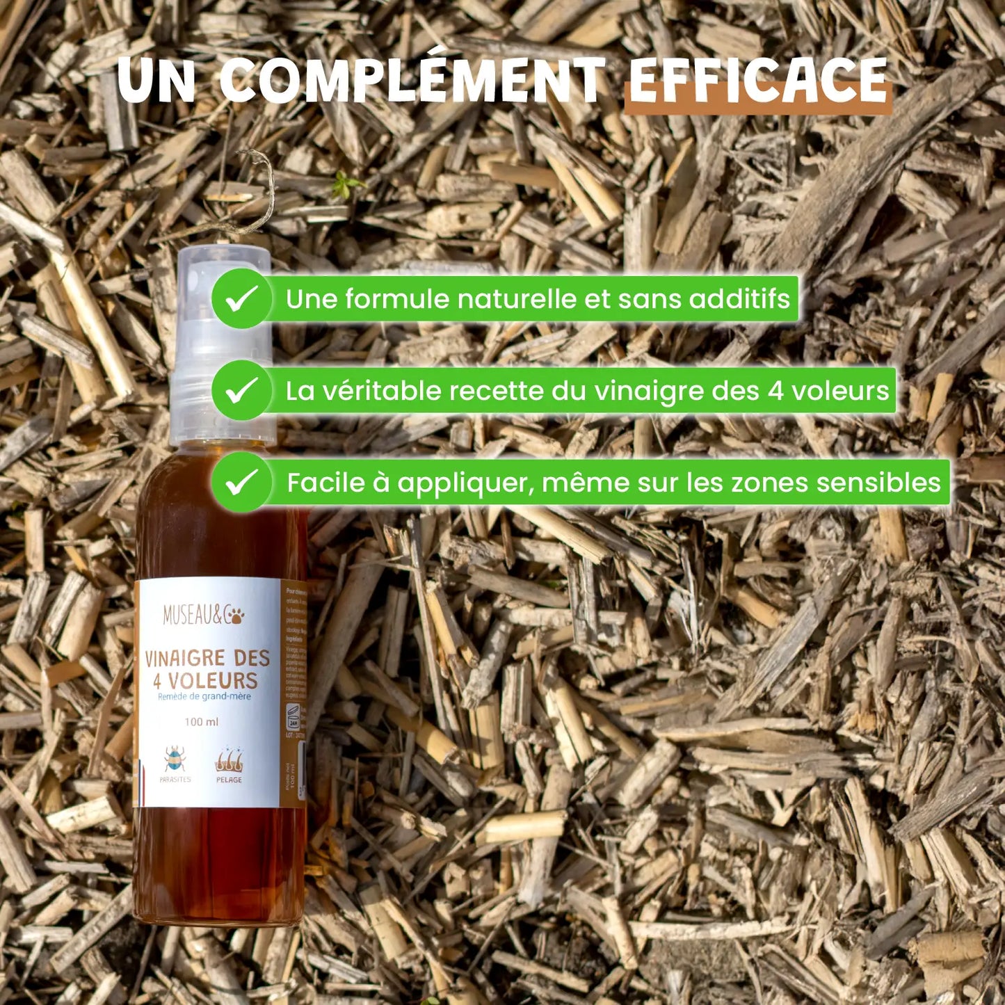 Vinaigre des 4 voleurs