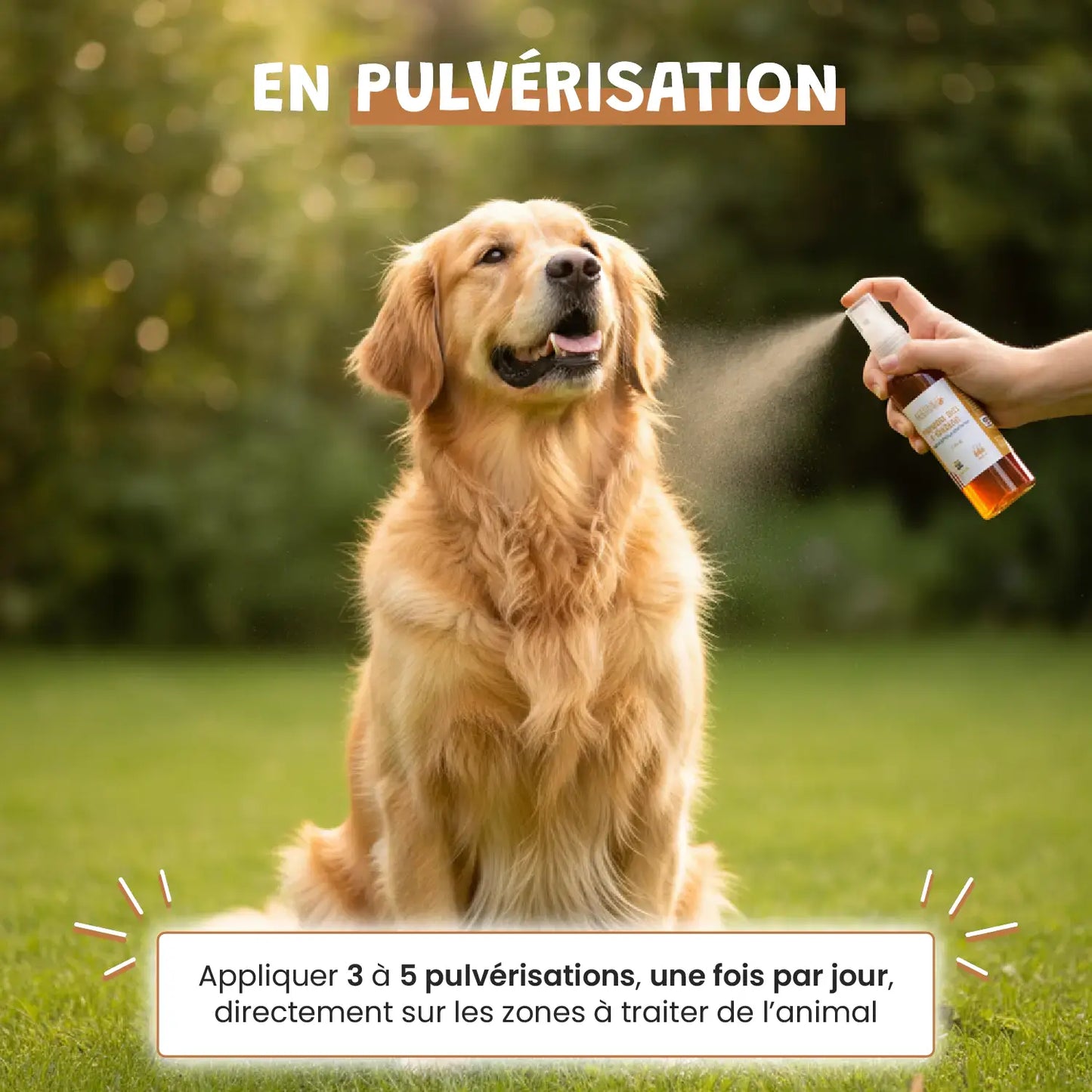 Vinaigre des 4 voleurs