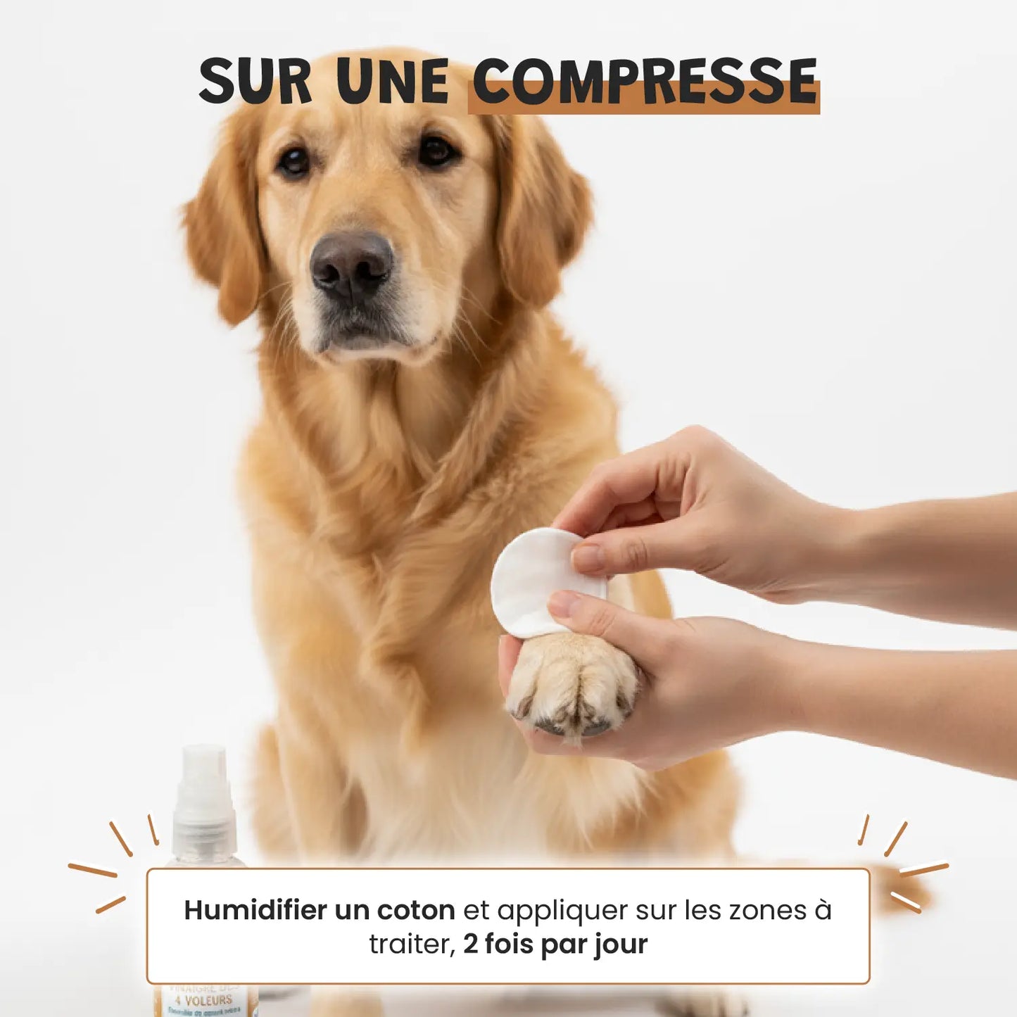 Vinaigre des 4 voleurs