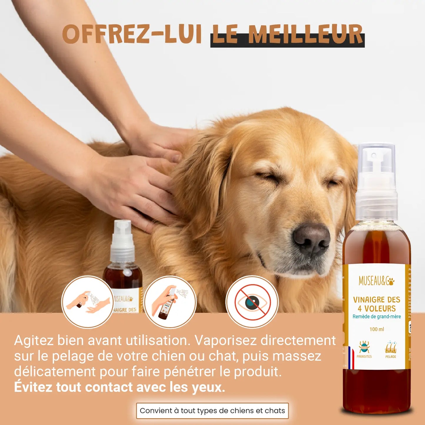 Vinaigre des 4 voleurs