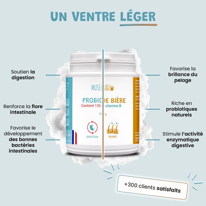 Pack ventre heureux