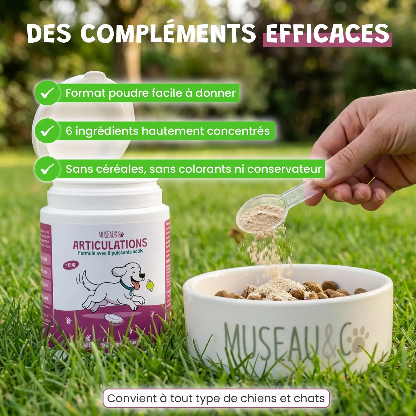 Pack bonds d'artiste