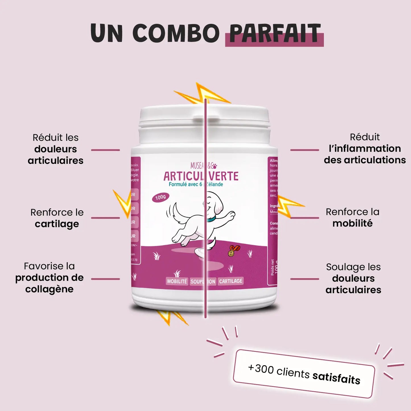 Pack bonds d'artiste