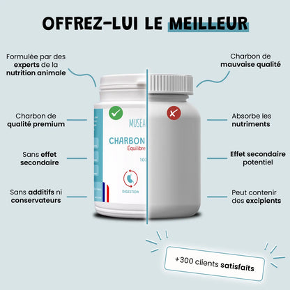 Charbon Végétal