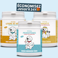 pack découverte
