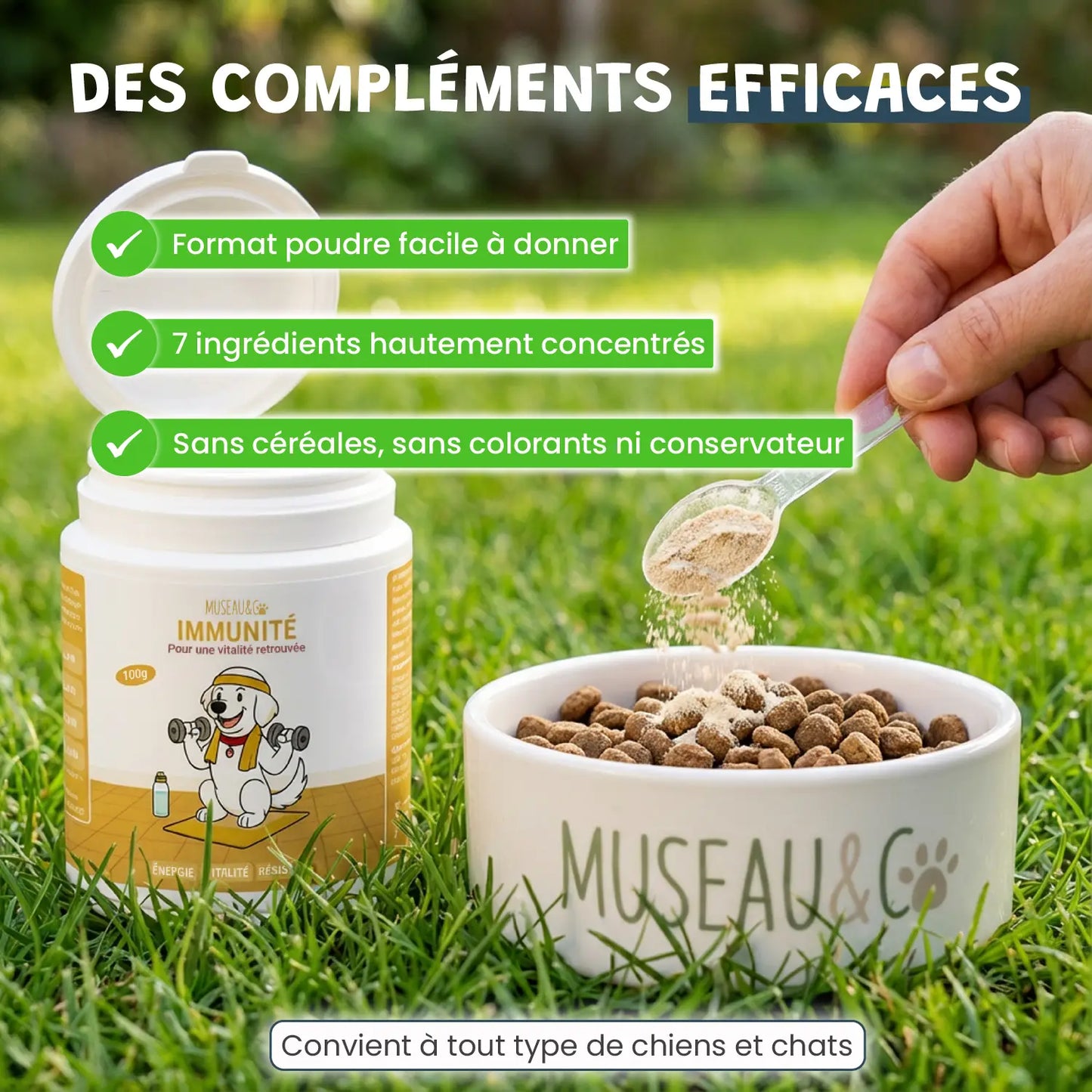 pack découverte