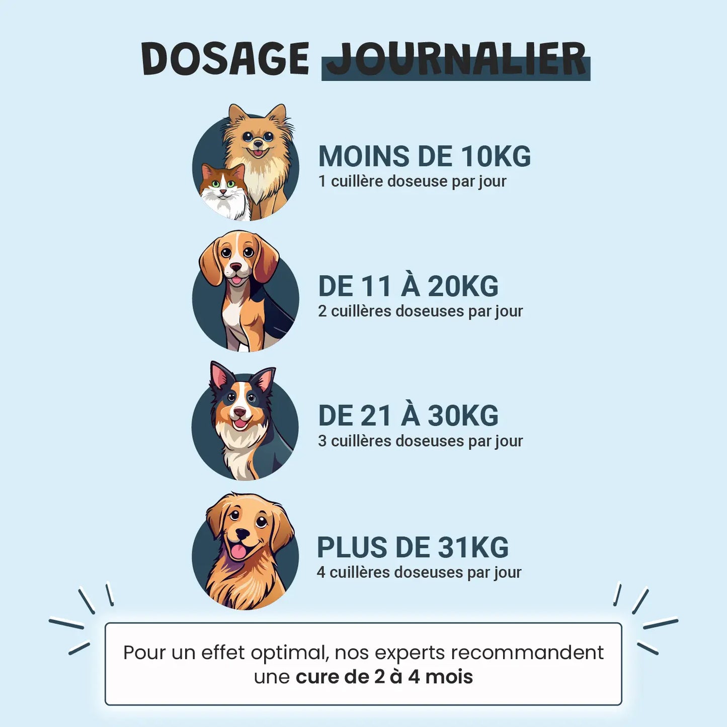 pack découverte