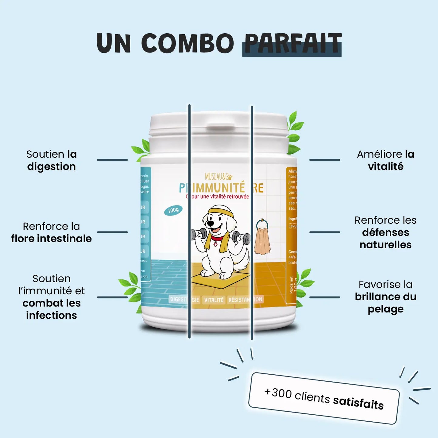 pack découverte