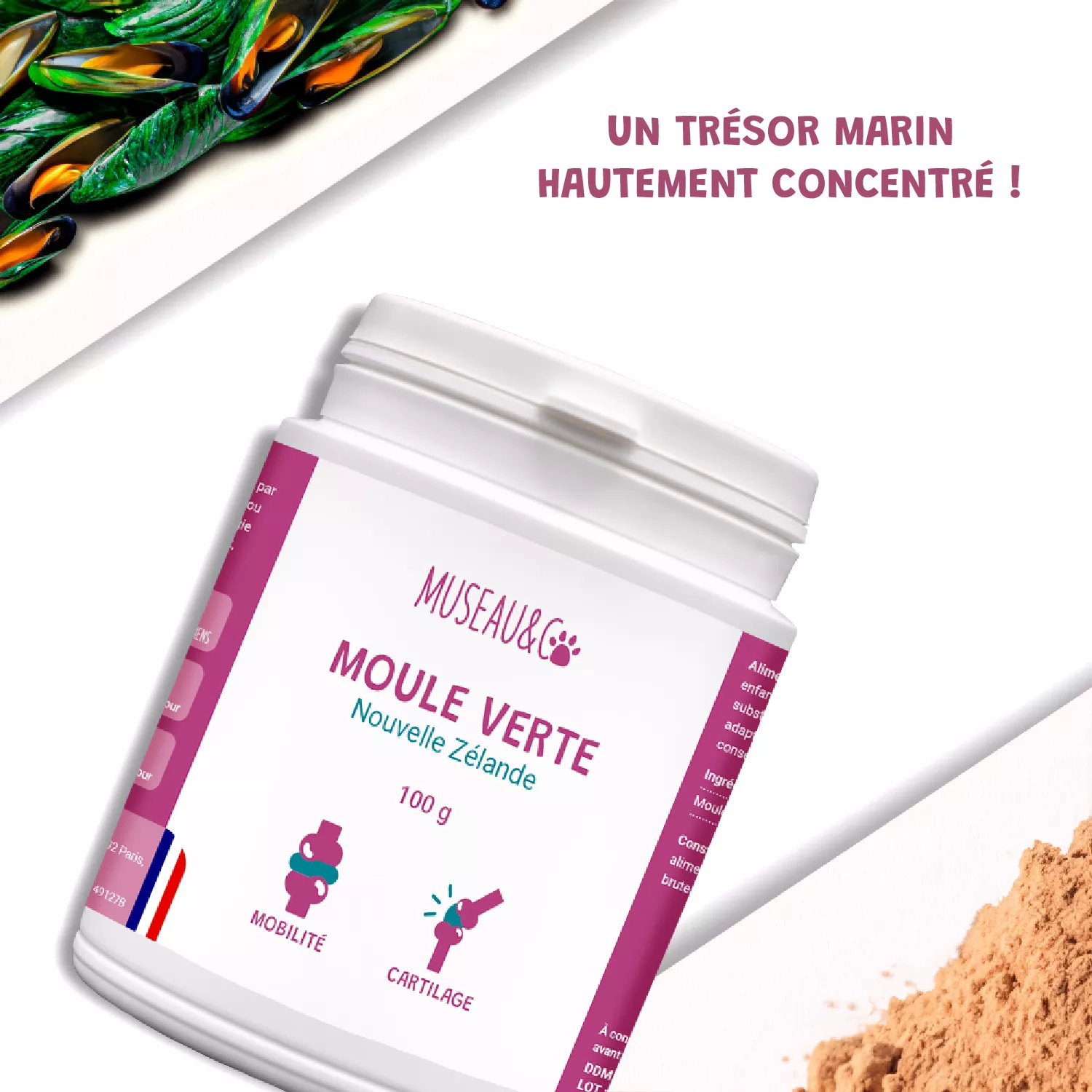 Moule Verte