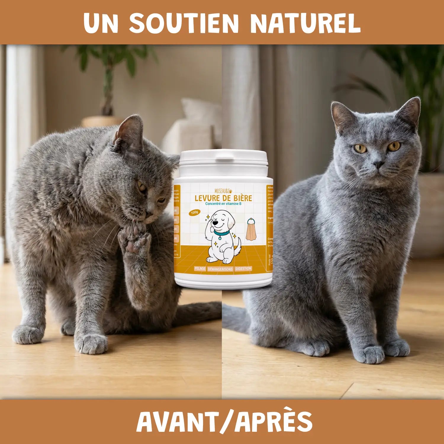 Levure de Bière