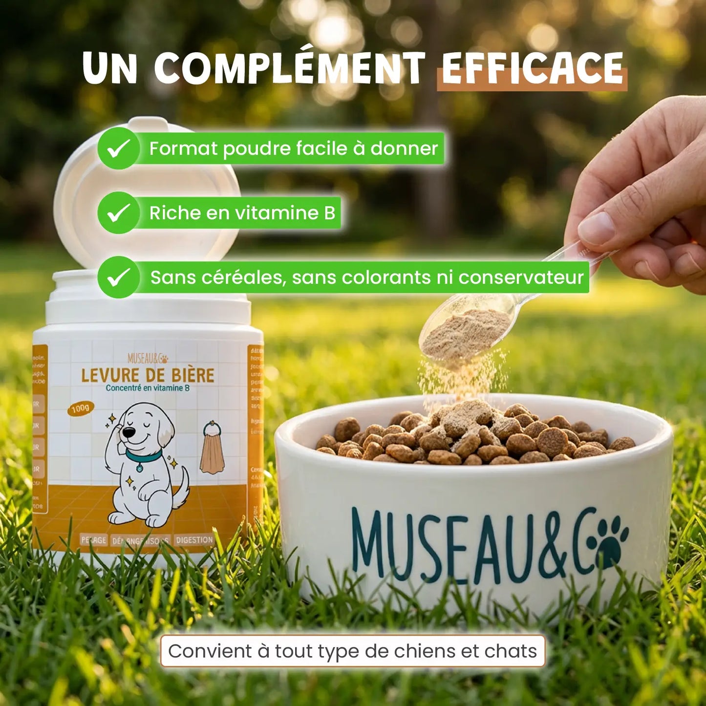 Levure de Bière