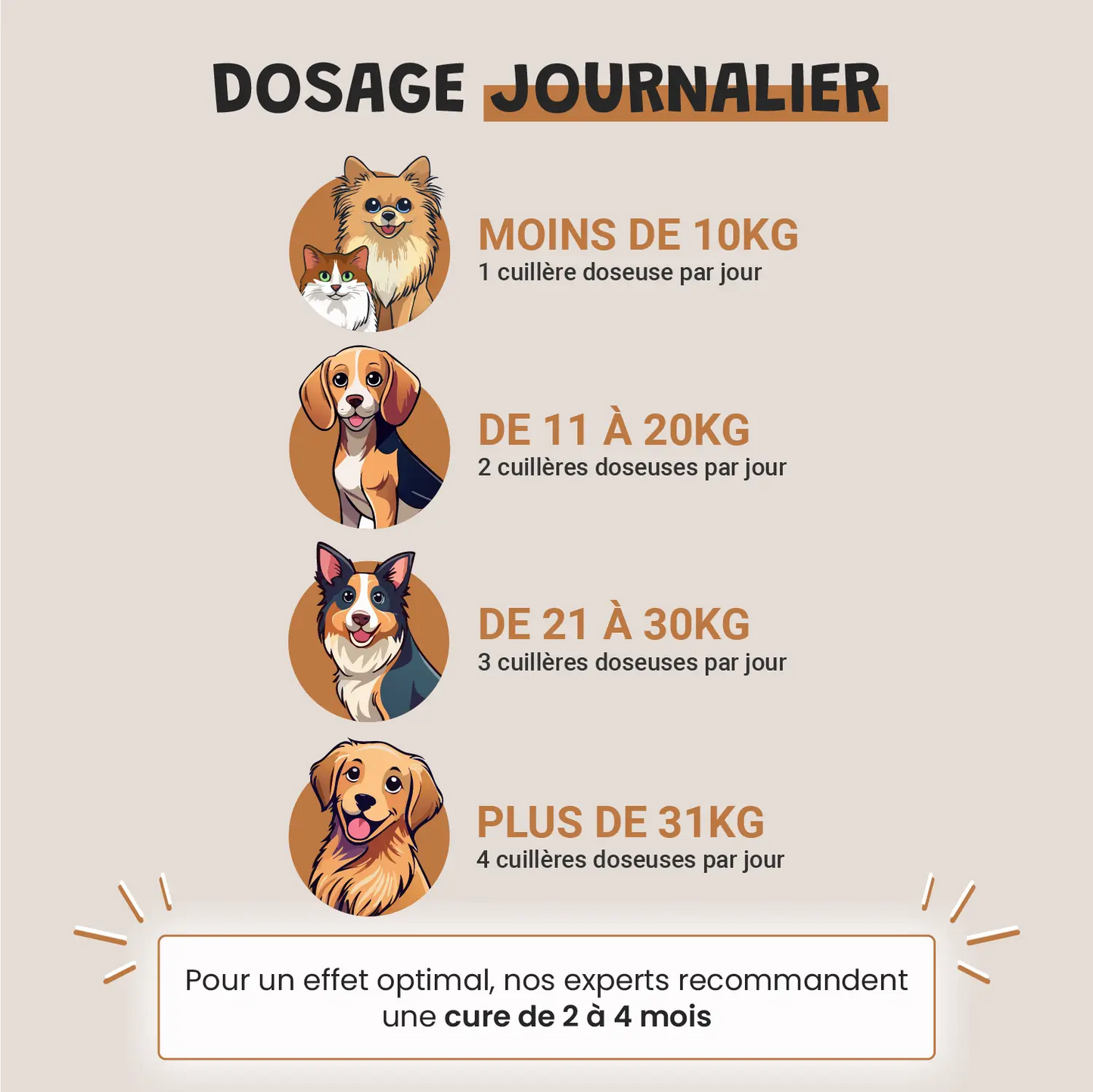Levure de Bière