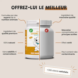 Levure de Bière