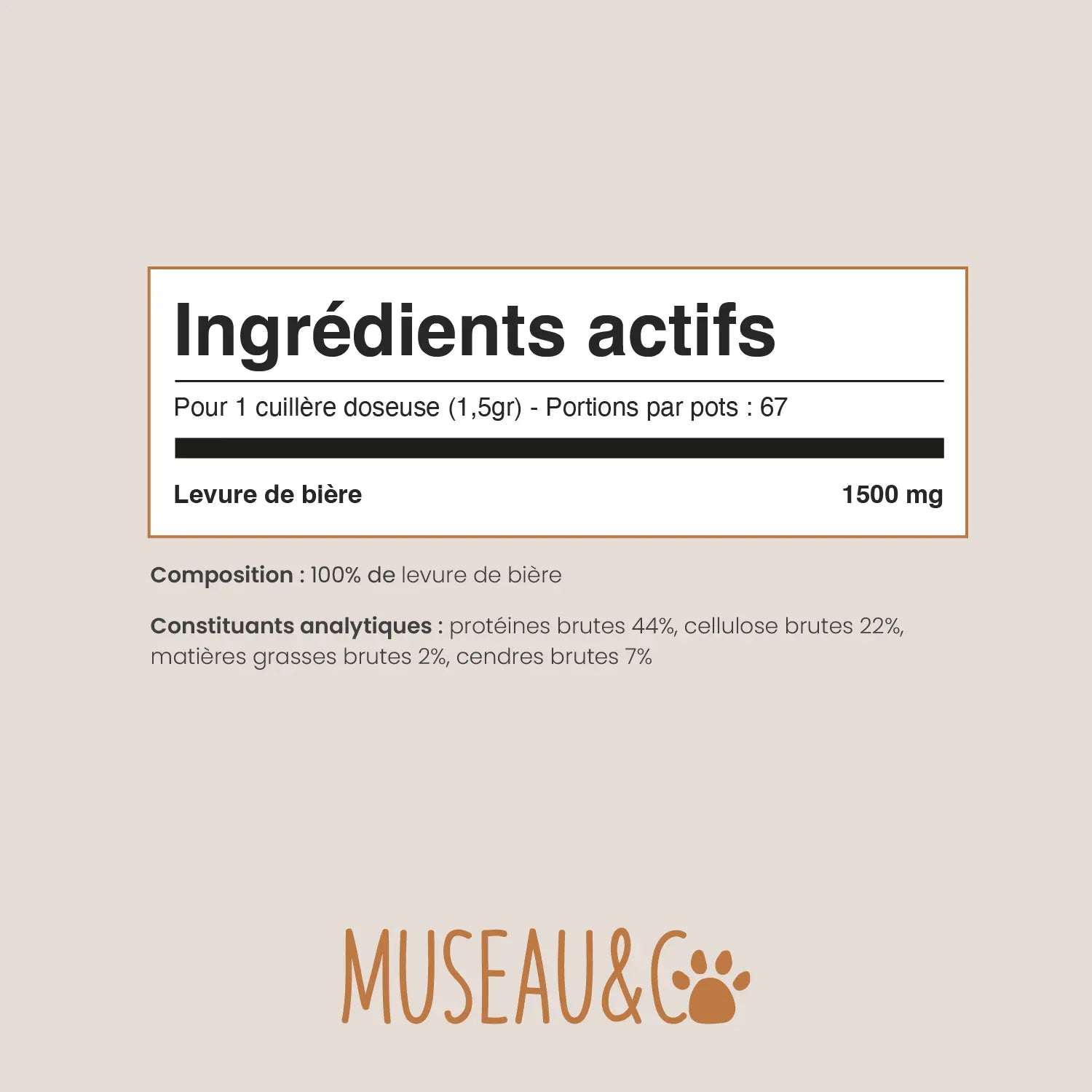Levure de Bière