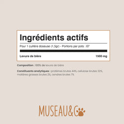 Levure de Bière
