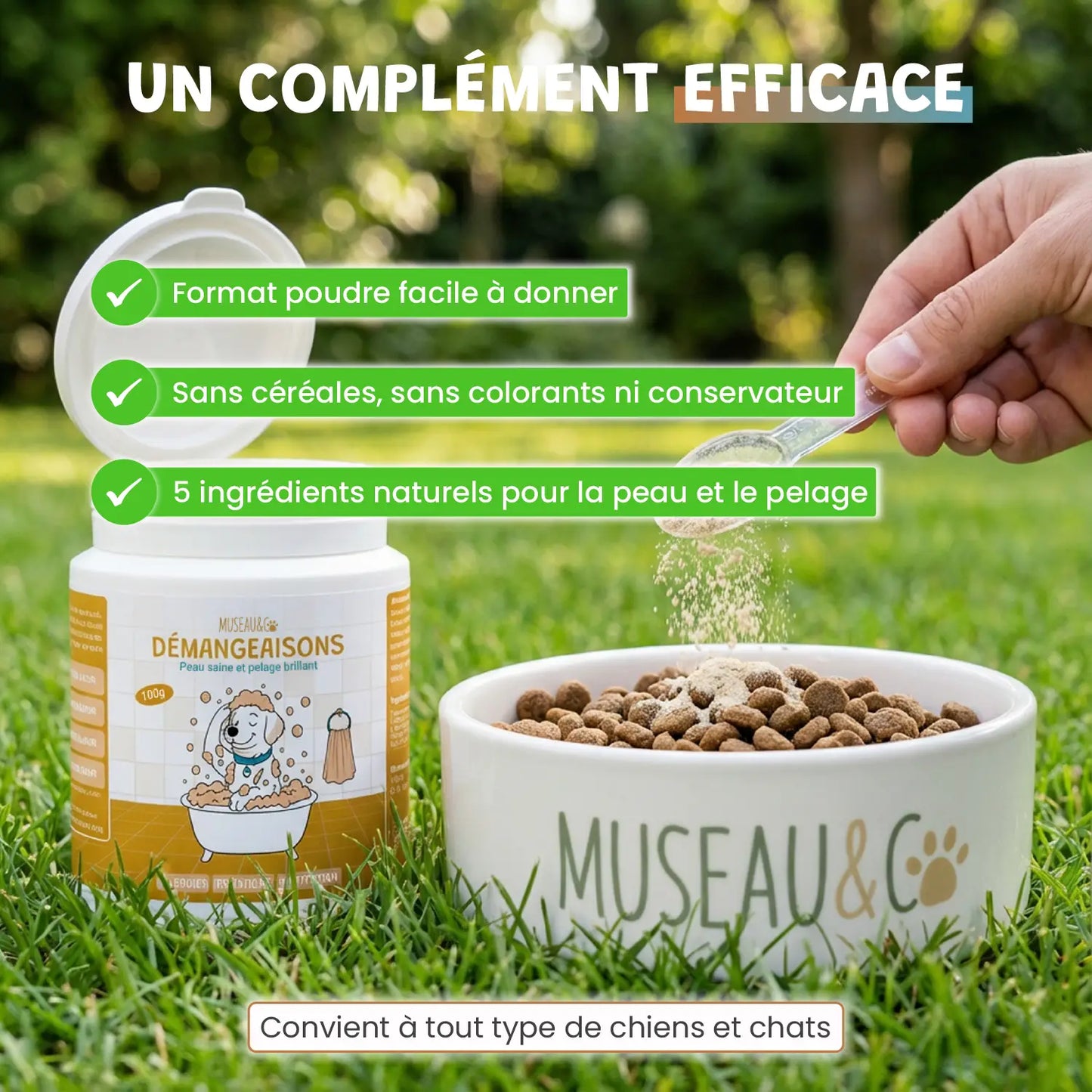 Pack poil de star