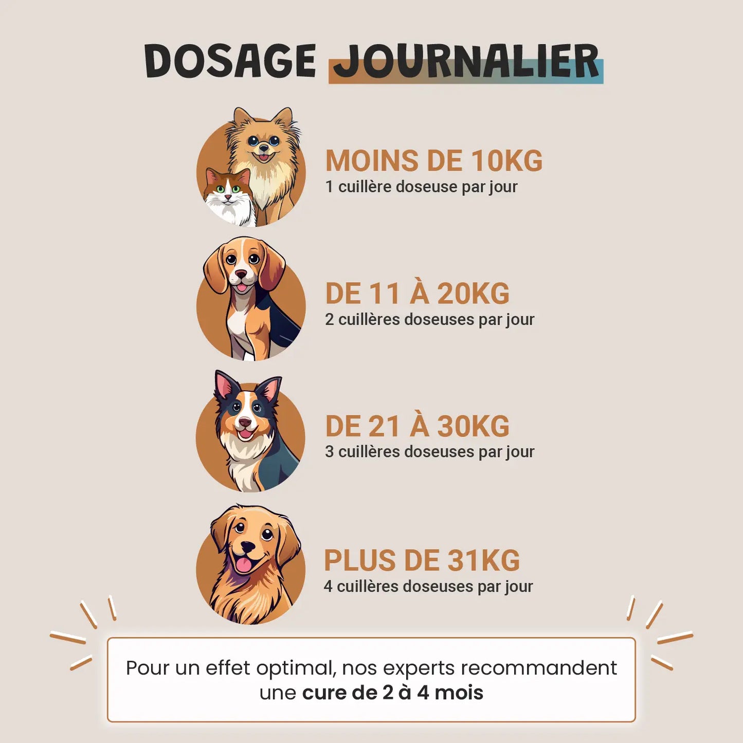 Pack poil de star