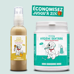 pack smile d'enfer