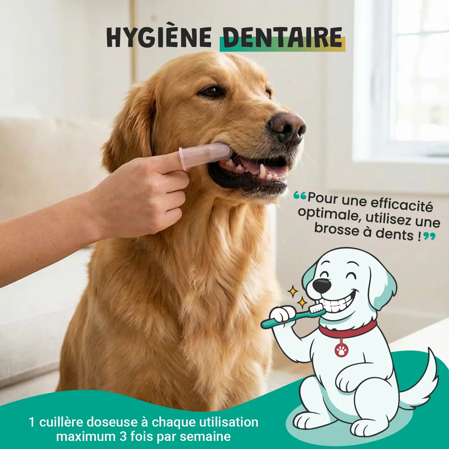 pack smile d'enfer