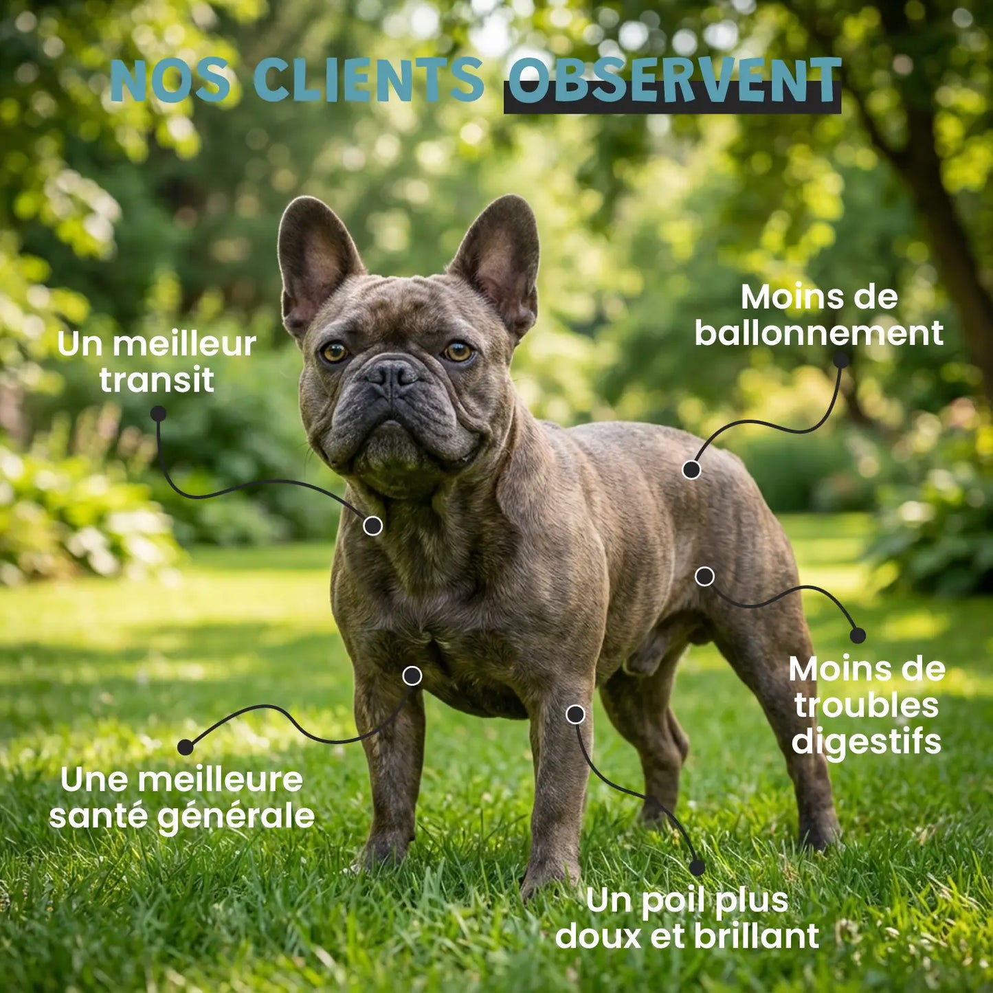 Pack ventre heureux