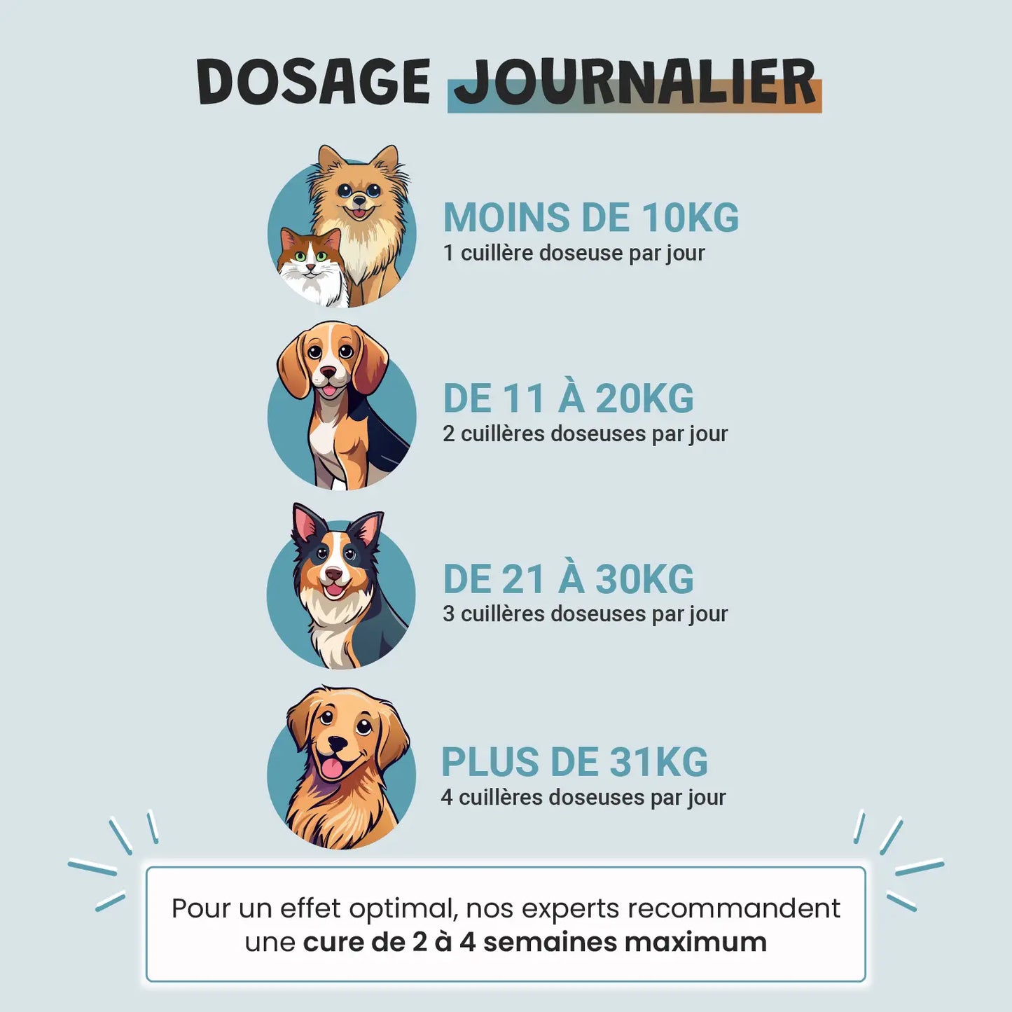 Pack ventre heureux