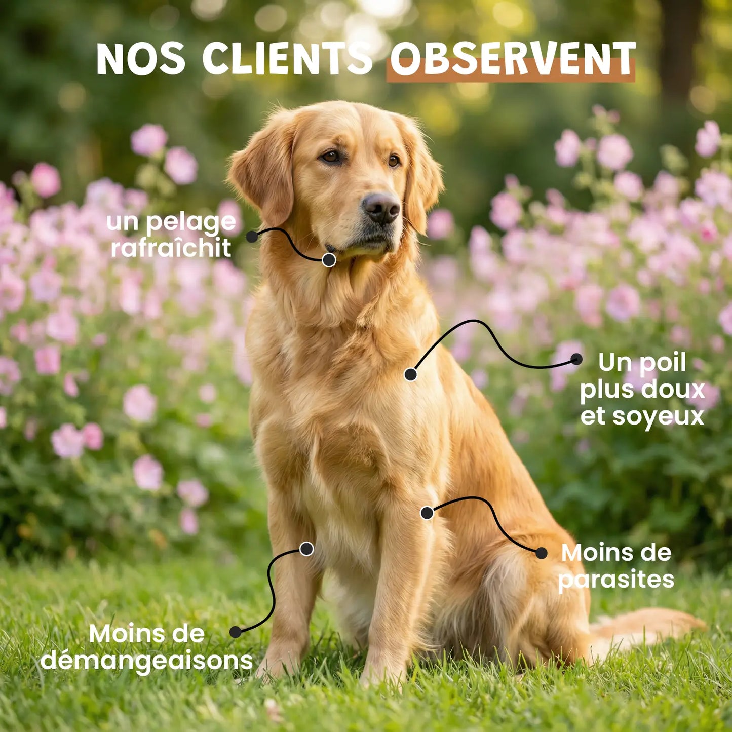 Vinaigre des 4 voleurs