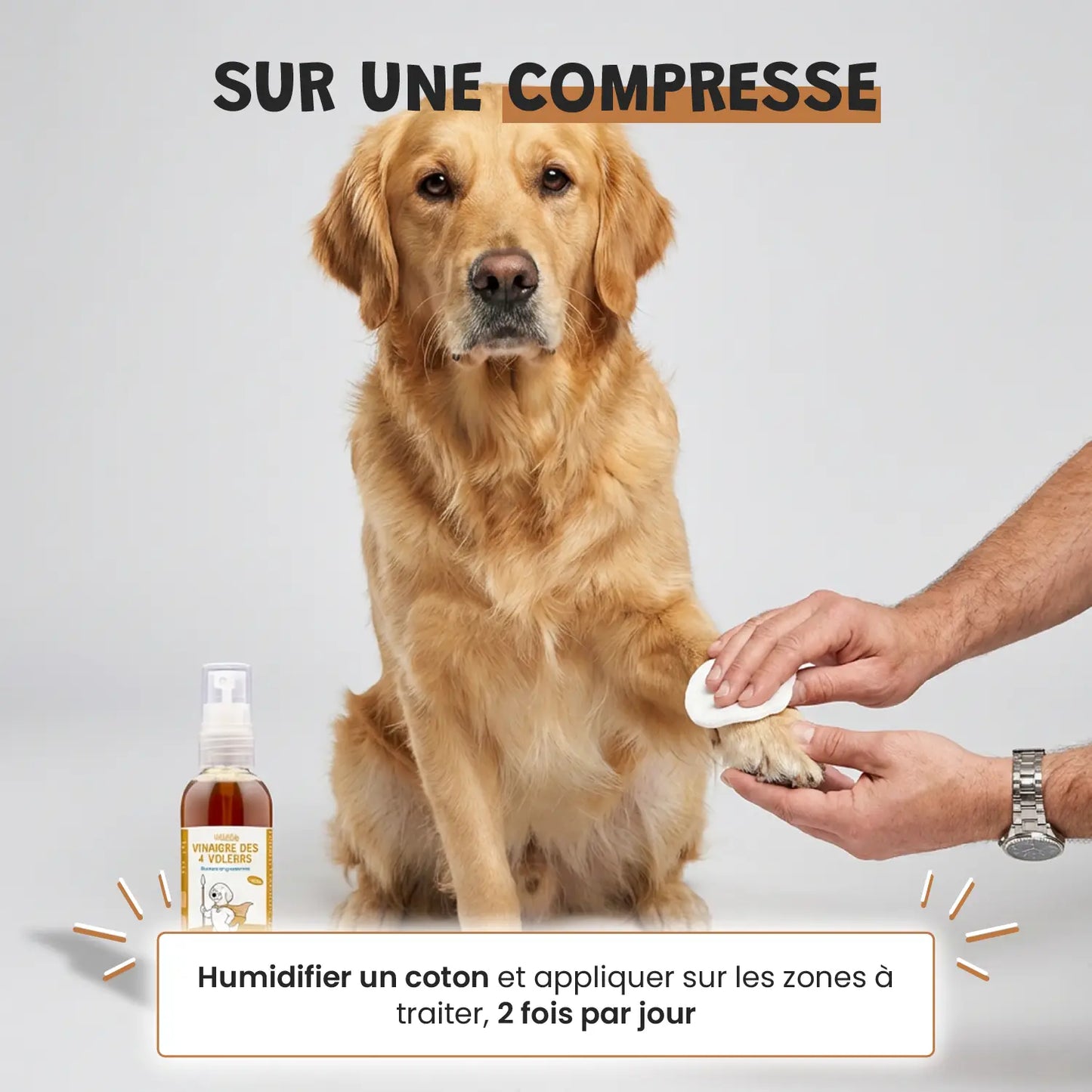 Vinaigre des 4 voleurs